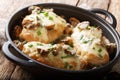Lombardy Chicken breasts cooked with mushrooms, green onions, mozzarella cheese and parmesan closeup. horizontal