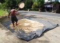 LOMBOK, INDONESIA - CIRCA 2014: A man dries out rice next to the road on the island of Lombok in Indonesia.