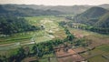 Rice field in Lombok ! Royalty Free Stock Photo