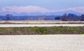 Lomellina countryside winter fields panorama. Color image Royalty Free Stock Photo