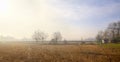 Lomellina Countryside, wintertime. Color image Royalty Free Stock Photo