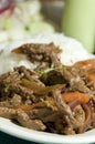 Lomo saltado peruvian steak Royalty Free Stock Photo