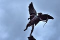 Statue of the Angel of Anteros on top of the Shaftesbury Memorial Fountain, in Piccadilly Circus