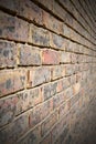 in london the abstract texture of a ancien wall and ruin