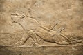 London. British museum. Hunting relief from Palace of Assurbanipal in Nineveh, Assyria