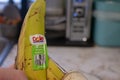 London Canada, April 20 2019: Editorial illustrative photo of a banana peel that has a Dole sticker that says Costa Rica