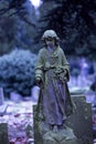 London cemetery Royalty Free Stock Photo