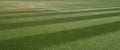 Close up of well manicured grass tennis court at Wimbledon, photographed during the 2018 championships.