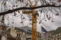 London crane working and there is a tree