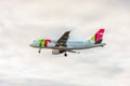 LONDON, ENGLAND - AUGUST 22, 2016: CS-TTK TAP Portugal Airbus A319 Landing in Heathrow Airport, London. Royalty Free Stock Photo