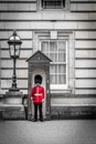 The Queen's Guard on duty at Buckingham Palace, the official res Royalty Free Stock Photo