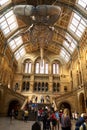 LONDON. England - 08/20/2019: The Natural History Museum houses specimens of life and earth sciences that include articles on