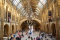 LONDON. England - 08/20/2019: The Natural History Museum houses specimens of life and earth sciences that include articles on