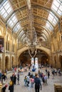 LONDON. England - 08/20/2019: The Natural History Museum houses specimens of life and earth sciences that include articles on