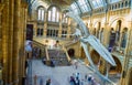 LONDON. England - 08/20/2019: The Natural History Museum houses specimens of life and earth sciences that include articles on