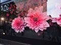 London, England - September 28 2015 : Ice watch window shop with flowers at Oxford street Royalty Free Stock Photo