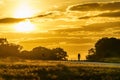 London, Enlgand - September 7 2018: two cyclists cycling through Richmond Park one early autumn evening, on September 7 2018, in Royalty Free Stock Photo