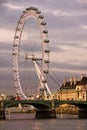 London Eye Royalty Free Stock Photo