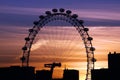 London Eye Royalty Free Stock Photo