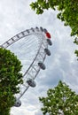 London Eye Royalty Free Stock Photo