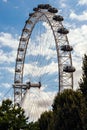 London Eye behind trees Royalty Free Stock Photo