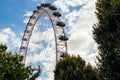 London Eye behind trees Royalty Free Stock Photo