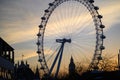 London Eye and Big Ben at Sunset Royalty Free Stock Photo