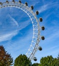 London eye, blue sky, green trees Royalty Free Stock Photo