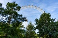 London eye, blue sky, green trees Royalty Free Stock Photo