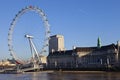 London Eye and County Hall Royalty Free Stock Photo