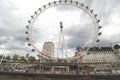 The London Eye Ferris wheel and county hall on the thames london