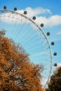 London Eye is a giant Ferris whee