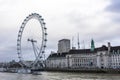 The London Eye is a giant Ferris wheel on the South Bank of the River Thames in London. The structure is 443 feet 135 m tall an