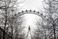 The London Eye is a giant Ferris wheel on the South Bank of the River Thames in London. The structure is 443 feet 135 m tall an