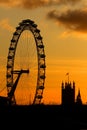 London Eye in London Royalty Free Stock Photo