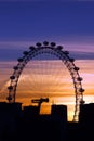 London Eye in London Royalty Free Stock Photo