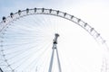 The London Eye Royalty Free Stock Photo