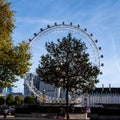 London Eye Or Millennium Wheel On South Bank Lambeth London Overlooking The River Thames Royalty Free Stock Photo