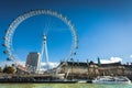 London eye Royalty Free Stock Photo