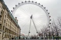 The London Eye Panoramic Wheel