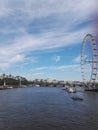 London eye Royalty Free Stock Photo