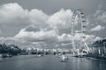 The London Eye and skyline