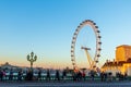 London eye Royalty Free Stock Photo