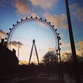 London eye at sunset