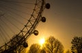 London Eye at Sunset Royalty Free Stock Photo