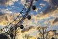 London Eye with a Tree with yellow sunset and blue sky Royalty Free Stock Photo