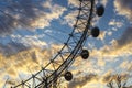 London Eye with a Tree with yellow sunset and blue sky Royalty Free Stock Photo