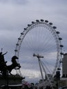 London Eye vs horse