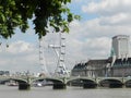 London Eye and Westminster Bridge from Victoria Tower Gardens, London, England