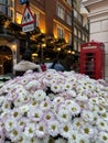 London famous phone booth with flowers